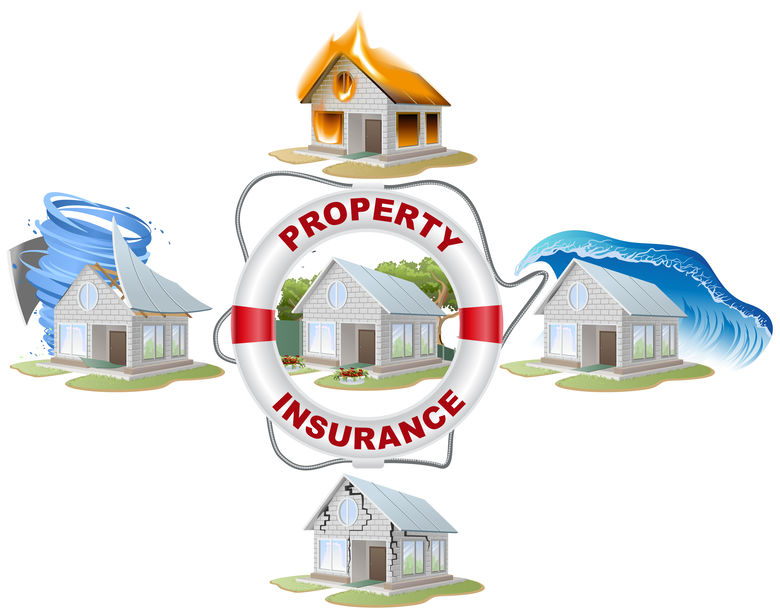 Why Property Insurance is Vital for Businesses